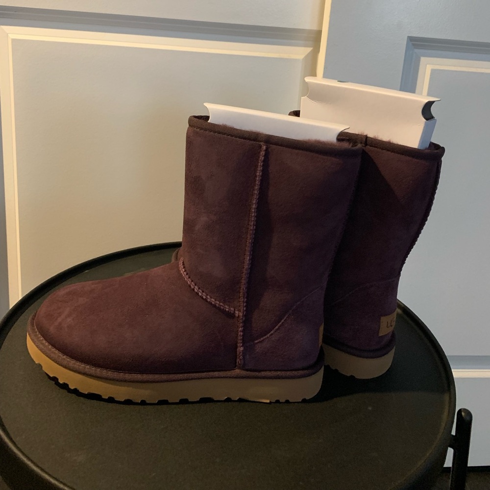 Uggs new in box